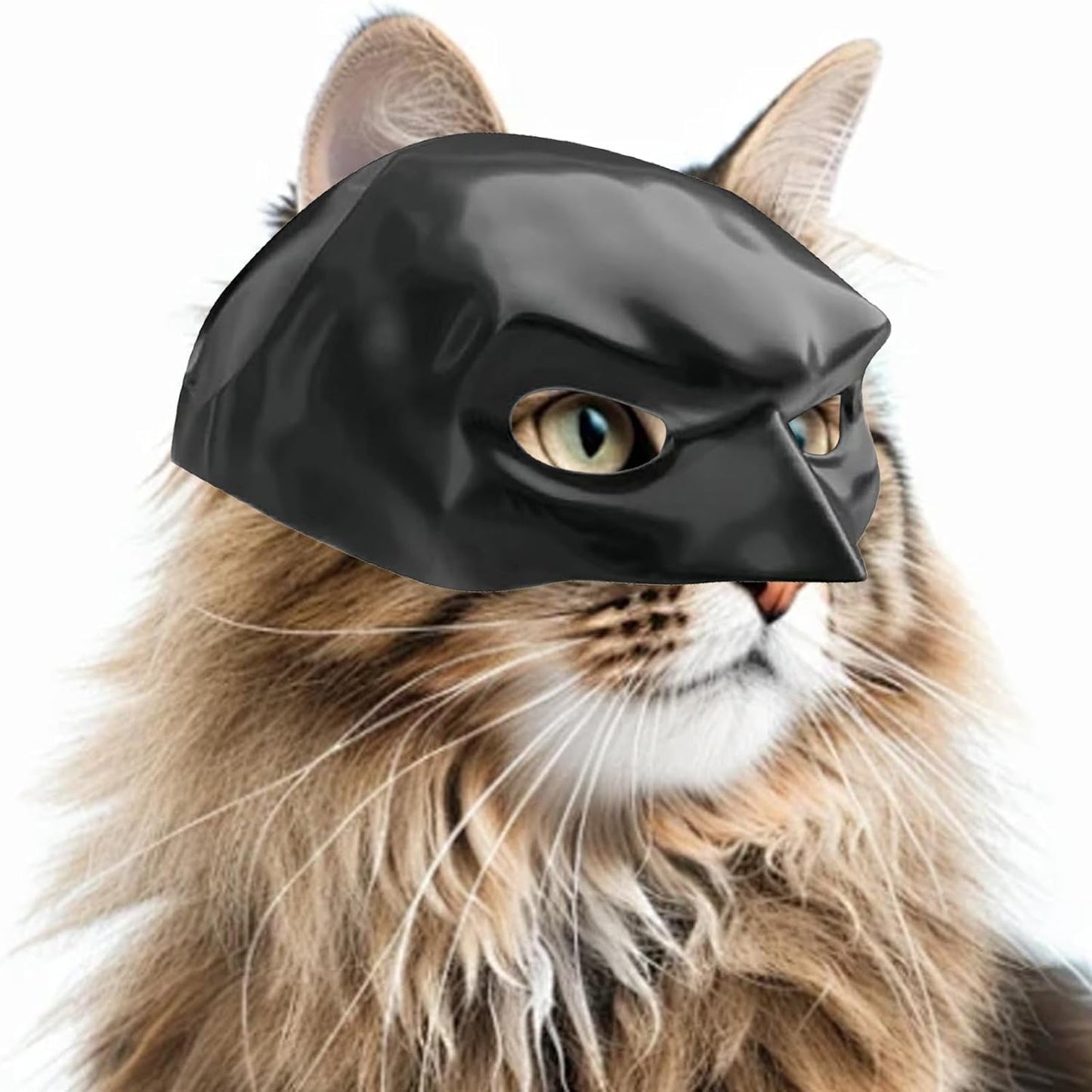 Déguisement Chat Batman