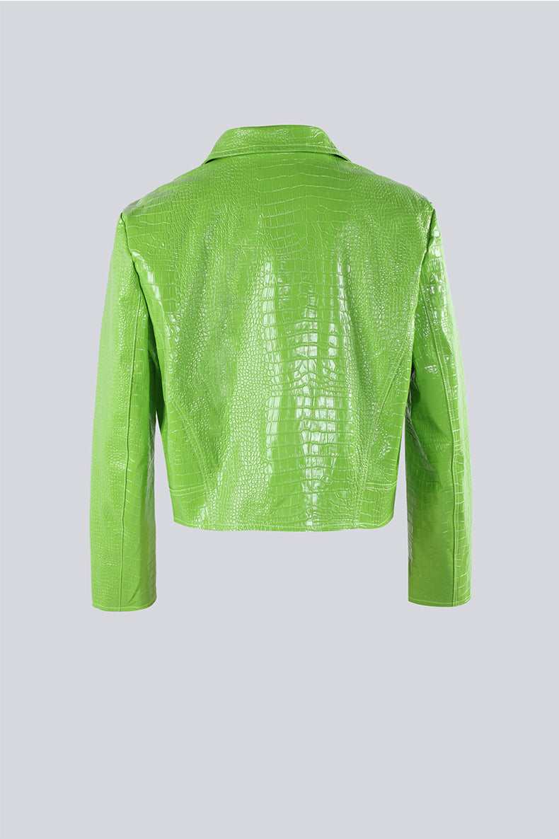 Veste  Crocodile Y2K Vert