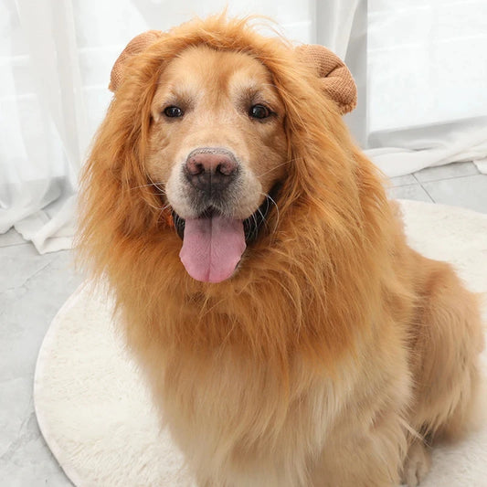 Déguisement Lion Pour Chien