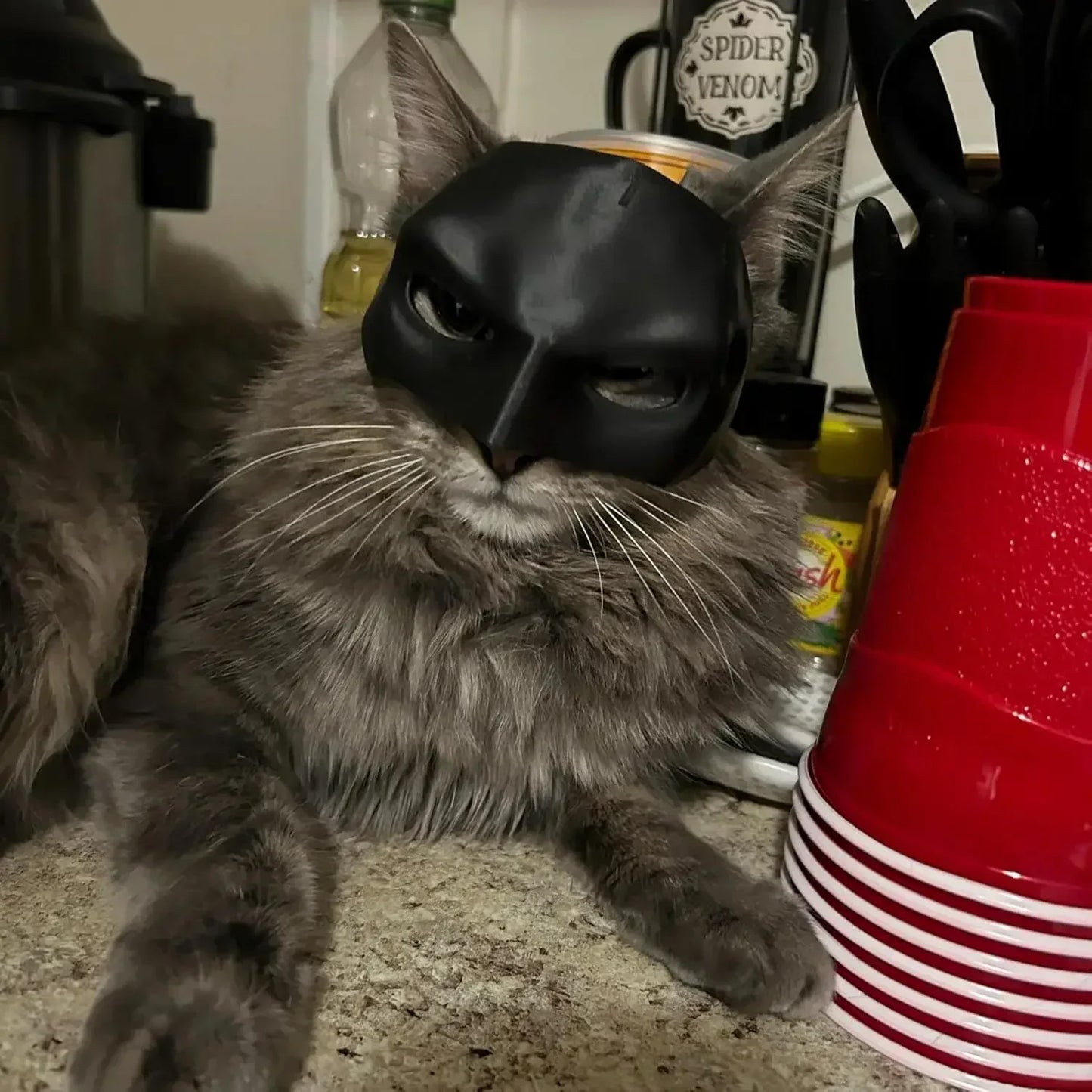 Déguisement Chat Batman