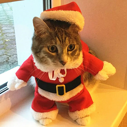 Déguisement Chat Père Noel