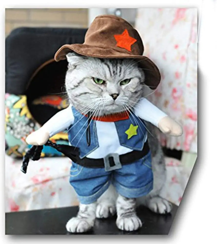 Déguisement Chat Cowboy