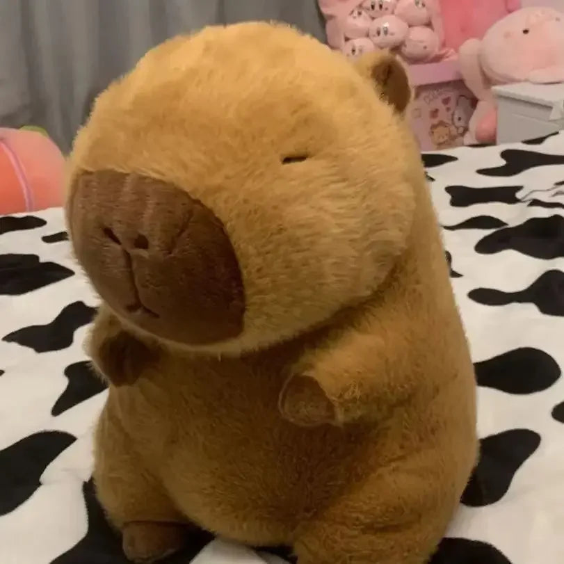 Doudou Capybara