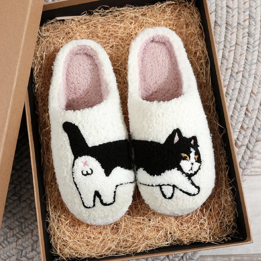 Chausson Chat