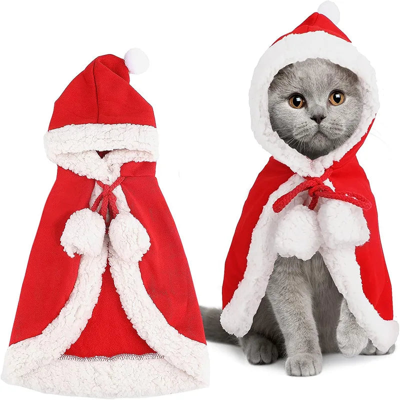 Déguisement Chat Noel