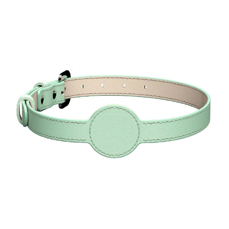 Collier Chien Airtag Cuir Vert