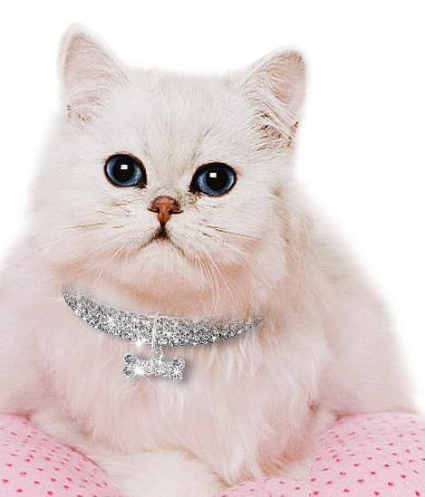 Collier Chat Blanc