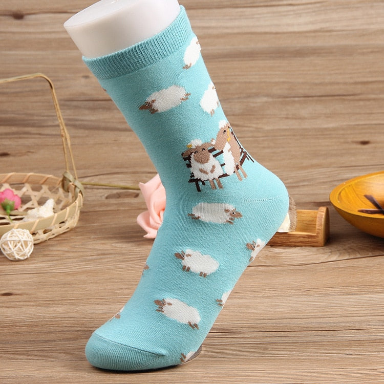 Chaussettes animaux sale