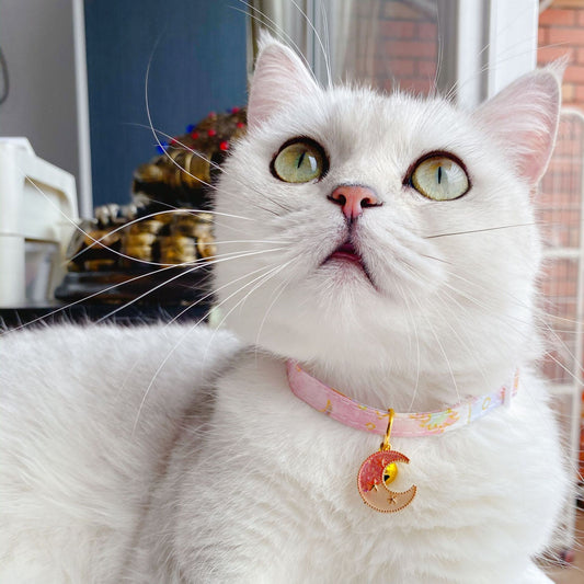 Collier Chat Etoiles