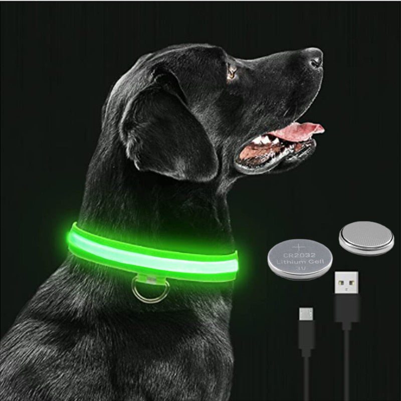 Collier Chien Led