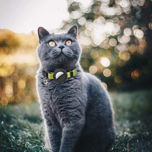 Collier Chat Airtag